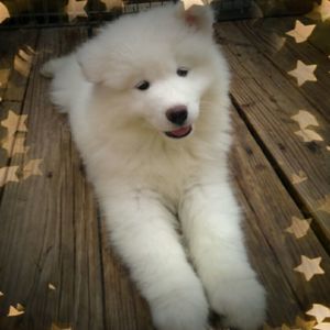 Meet your Posher, Pam